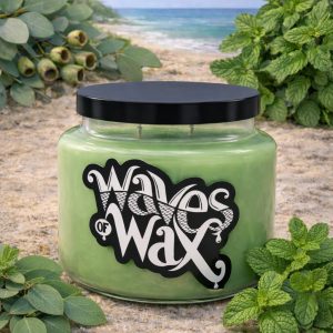 Seas the Day - 16 oz Glass