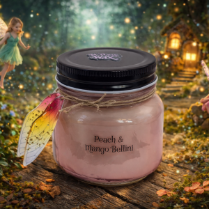 Fairy Wing Jar Candle - Pink